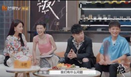 再见吧爱人嘉宾爆料视频,揭秘节目背后惊人真相！